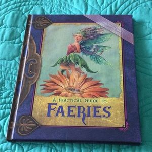 A Practical Guide to Faeries book